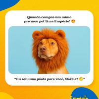 Post Empório Animal